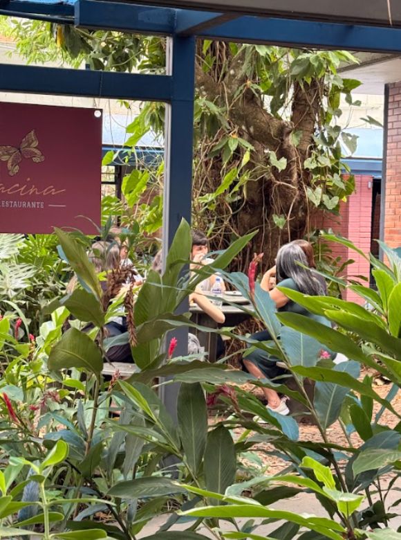 Aliança Francesa de Frasília - Fotos (1)