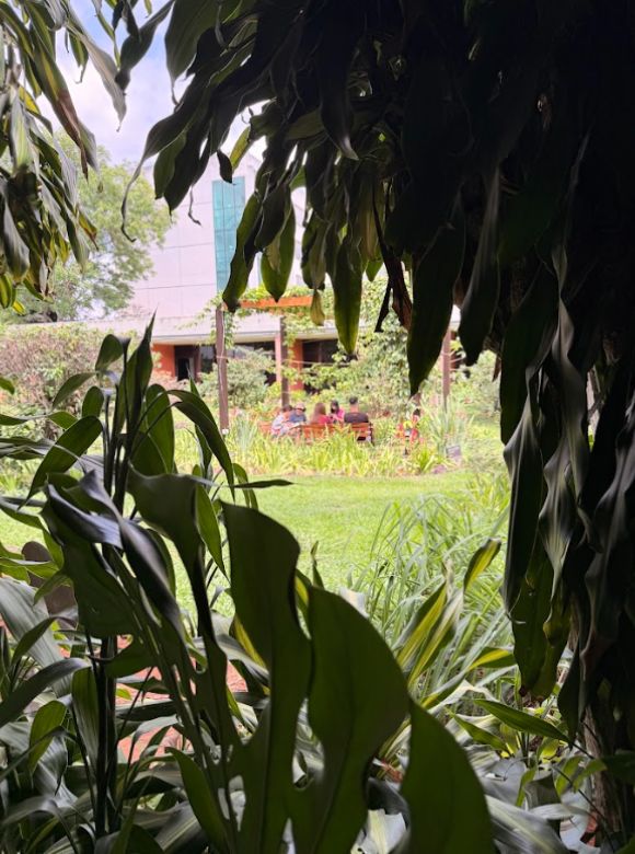 Aliança Francesa de Frasília - Fotos (4)