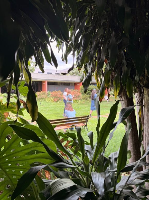 Aliança Francesa de Frasília - Fotos (5)